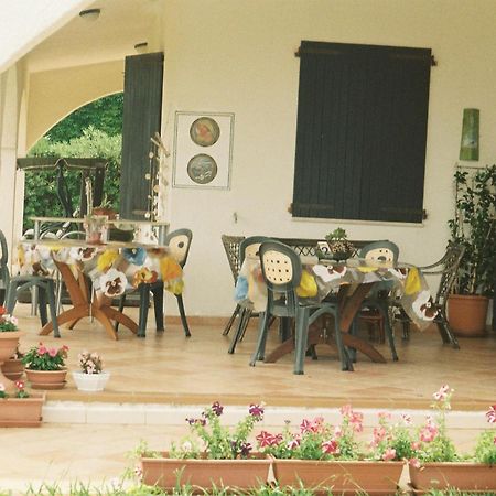 Villa Adelina Сарок Екстериор снимка